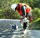 biodigestores