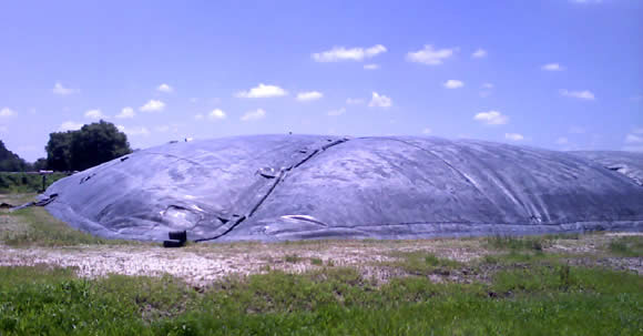 Biodigestor Grupo Lechero Leon