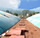 biodigestores